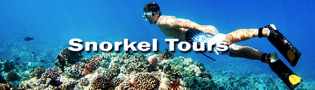 Snorkel Tour in Kona Hawaii. Book online and Save.