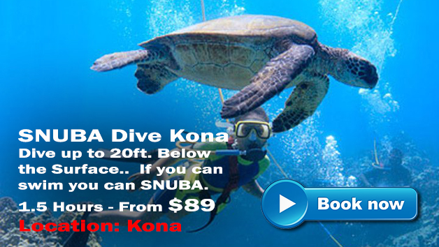 Kona SNUBA Diving | Hawaii Adventure Tours