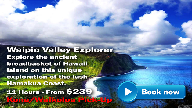 Waipio Valley Explorer. See the Famous Waipio valley!