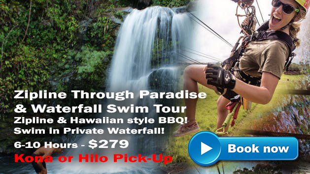 Zipline Through Paradise and Waterfall Swim Package in Hilo or Kona Hawaii.