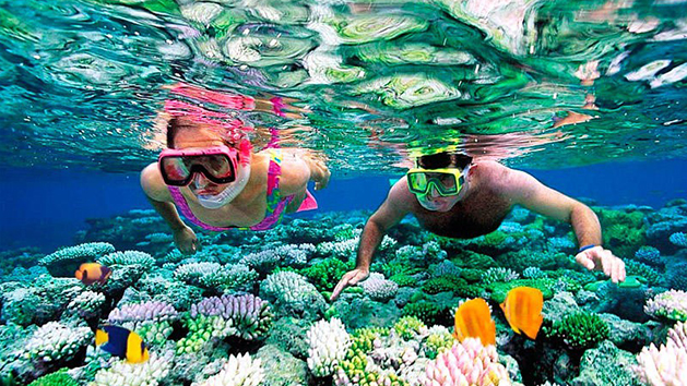 kona-snorkel-rentals