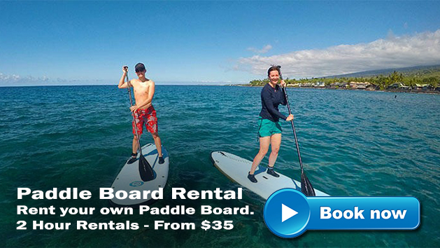 Kona Paddle Board Rental | Hawaii Adventure Tours