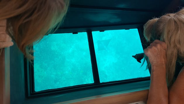 Glass Bottom Boat Tour Kona