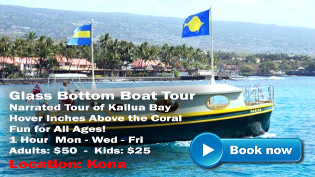 Glass Bottom Boat Tour in Kona Hawaii. Book Online Today. Seats go Fast!