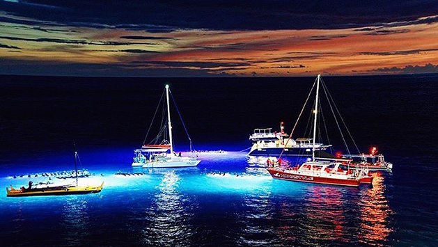 Boats at Manta Ray Village