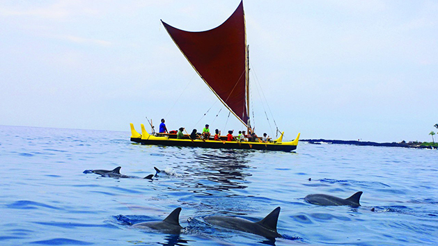Hawaii Adventure Tours Manta Hawaiian Canoe
