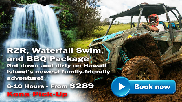 RZR, Waterfall Swim, and BBQ Package Deal