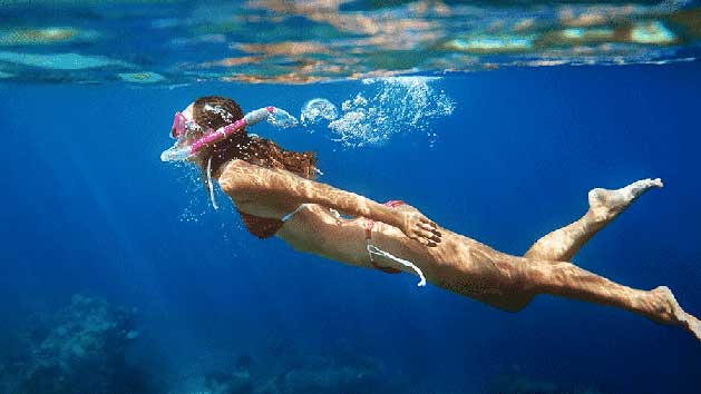 Hawaii Adventure Tours Snorkel Tours Kona