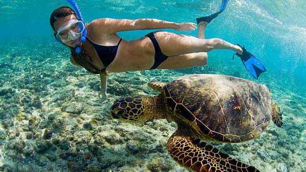 Hawaii Adventure Tours Snorkel Tours Kona. Tickets Sell Fast