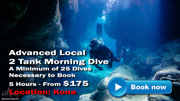 Scuba Dive Tours Kona | Hawaii Adventure Tours
