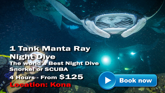 Night Scuba Diving Kona | Hawaii Adventure Tours
