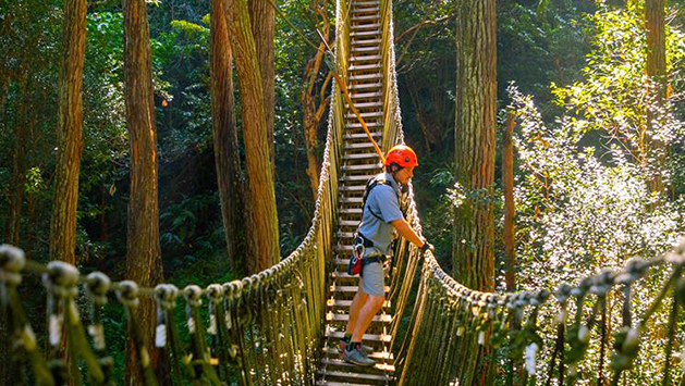 Hawaii Adventure Tours Zipline Tour. Sells Out Daily