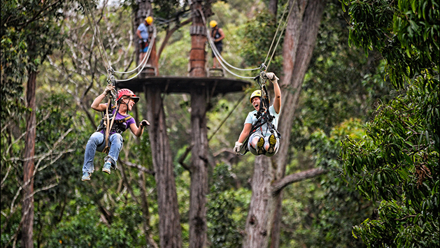 Kohala Zipline Kona Hawaii Adventure Tours