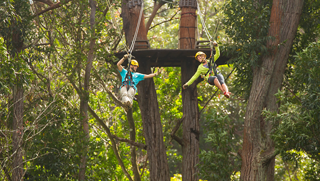 Zipline Canopy Tour in Kona with Hawaii Adventure Tours. Sells out daily