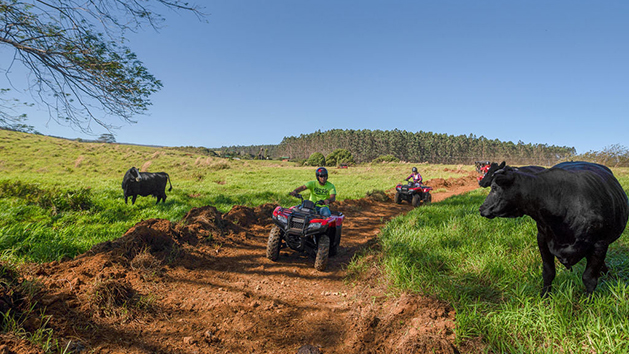 UmaUma Deluxe ATV Tour Hawaii Adventure Tours. Book Online Today