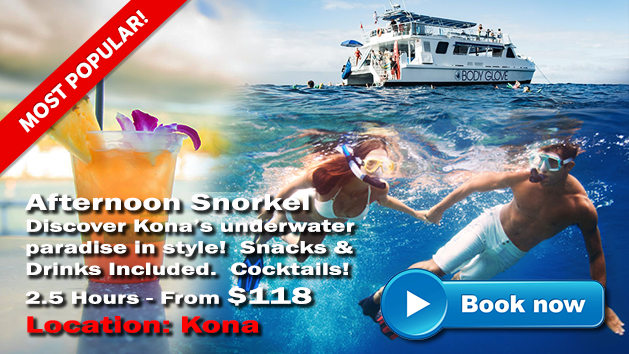 Kona Snorkeling | Hawaii Adventure Tours