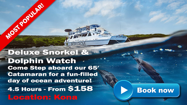 Deluxe Snorkel & Dolphin Watch Kona | Hawaii Adventure Tours
