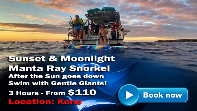 Sunset and Moonlight Manta Ray Snorkel