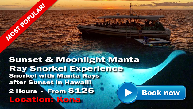 Sunset Manta Experience