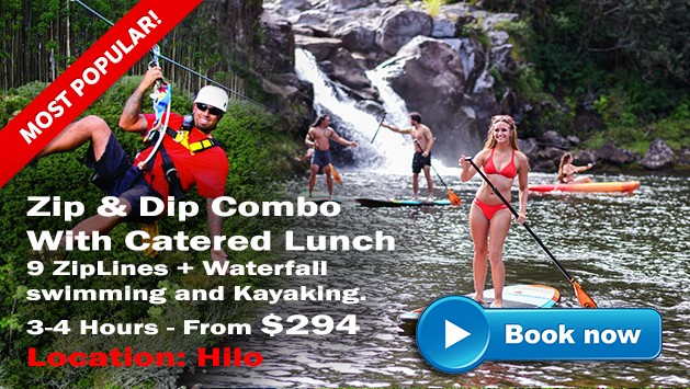 Hawaii Adventure Tours Zip and Dip Combo