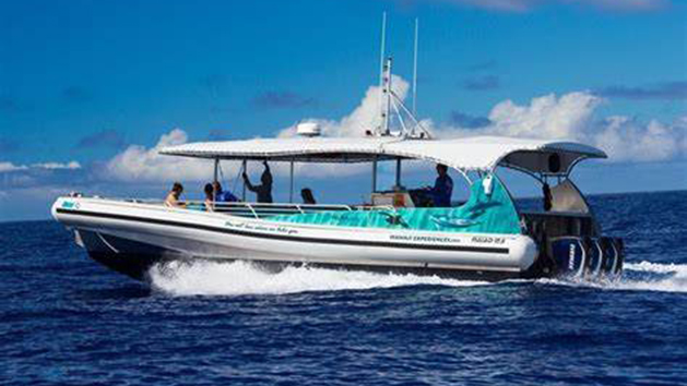 Iruka Kona Manta Ray Snorkel from Hawaii Adventure Tours