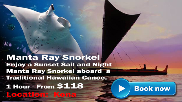 Manta Ray Snorkel Canoe