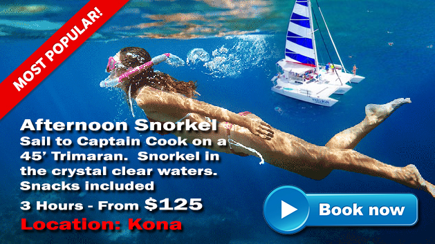 Hawaii Snorkeling Tours | Snorkel Hawaii