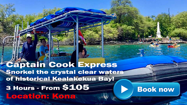 Kona Snorkel | Hawaii Adventure Tours