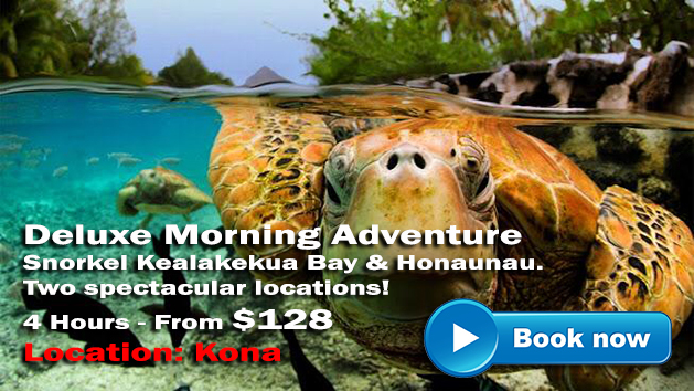 Kona Snorkeling | Hawaii Adventure Tours