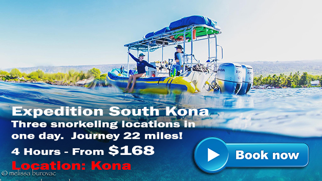 Kona Snorkel Tours | Hawaii Adventure Tours