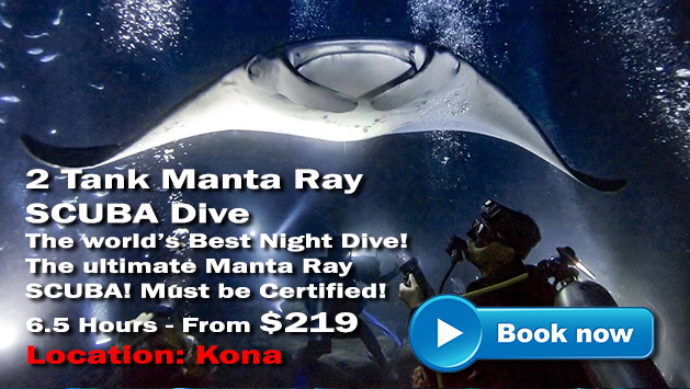Manta Ray Snorkel Tours Hawaii