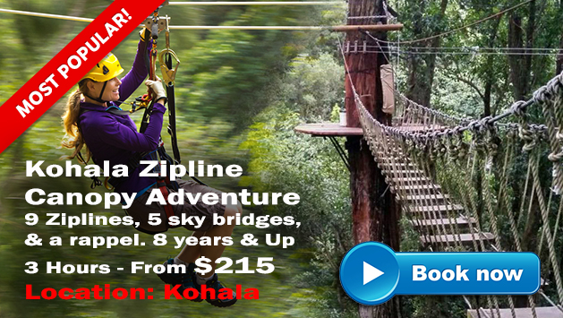 Kohala Zipline Canopy Adventure | Hawaii Zipline